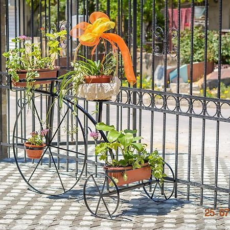 Guest House Meridi Priseltsi Dış mekan fotoğraf