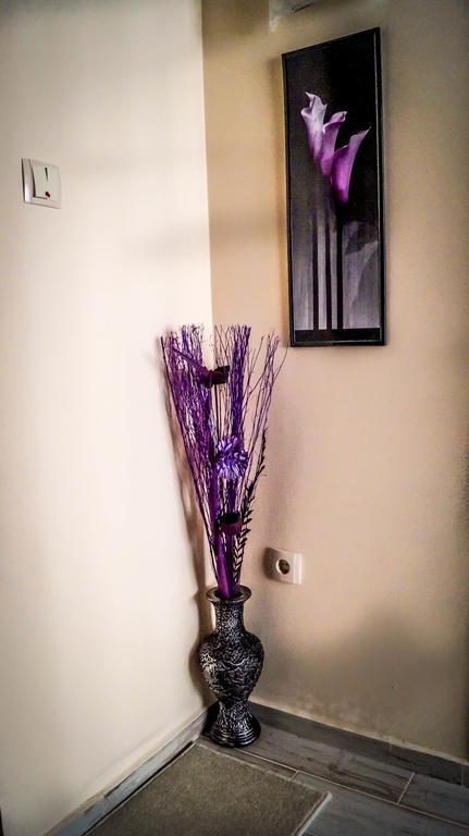 Guest House Meridi Priseltsi Dış mekan fotoğraf